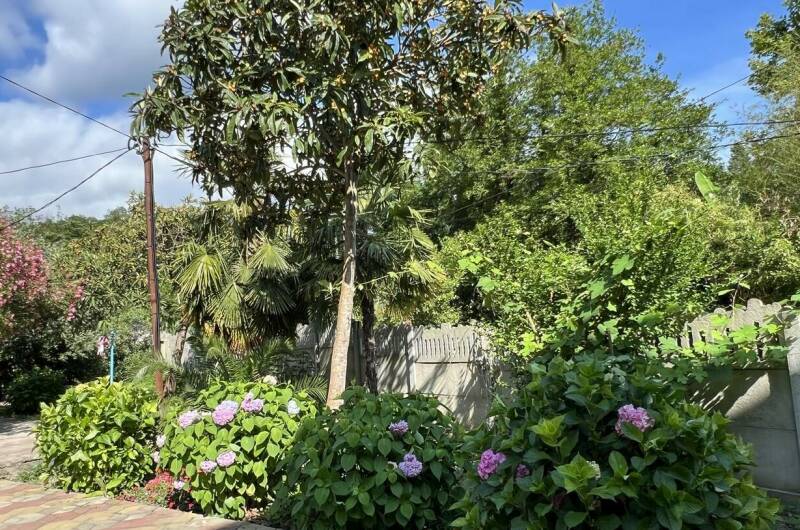 Изображение Изображение гостиницы "Гостевой дом «У Татьяны»" #7 #7