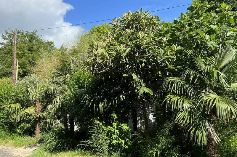 Изображение Изображение отеля / гостиницы "Гостевой дом «У Татьяны»" #10 #8