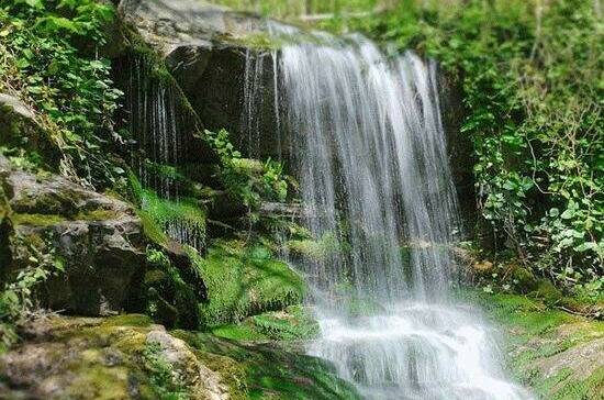 Изображение Изображение гостиницы "Гостевой дом «Олимпик»" #7 #7