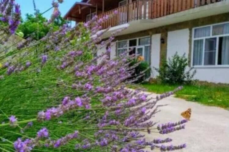 Изображение Изображение гостиницы "Гостевой дом «Терра»" #6 #6