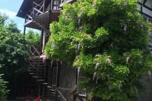 Изображение Дом на Кирпичной 6 #3