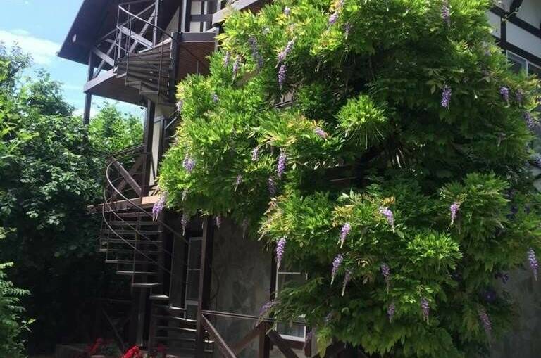 Изображение Изображение гостиницы "Дом на Кирпичной 6" #1 #1