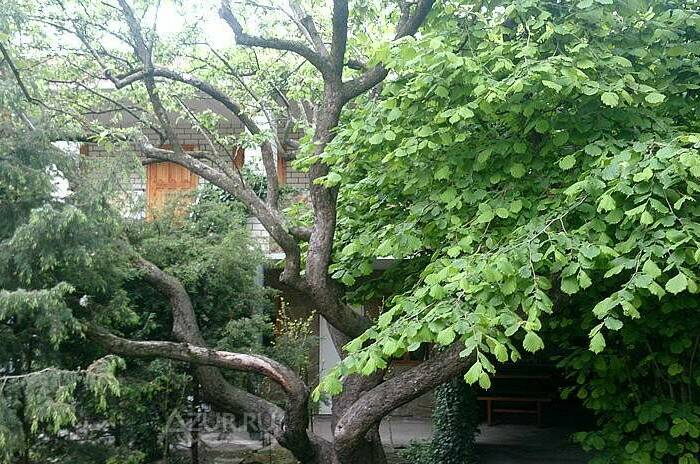 Изображение Изображение отеля / гостиницы "Дом на Кирпичной 6" #11 #9