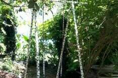 Изображение Изображение гостиницы "Гостевой дом «Ника»" #3 #3