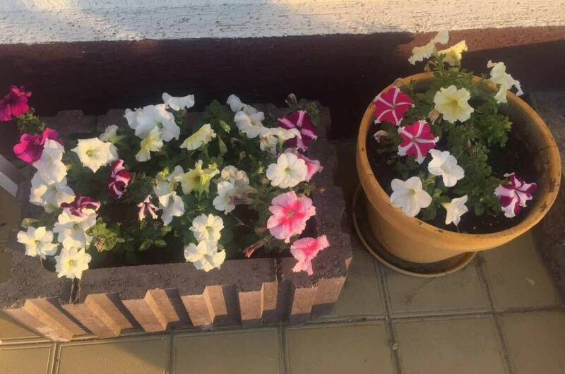 Изображение Изображение гостиницы "Гостевой дом на Приазовской" #7 #7