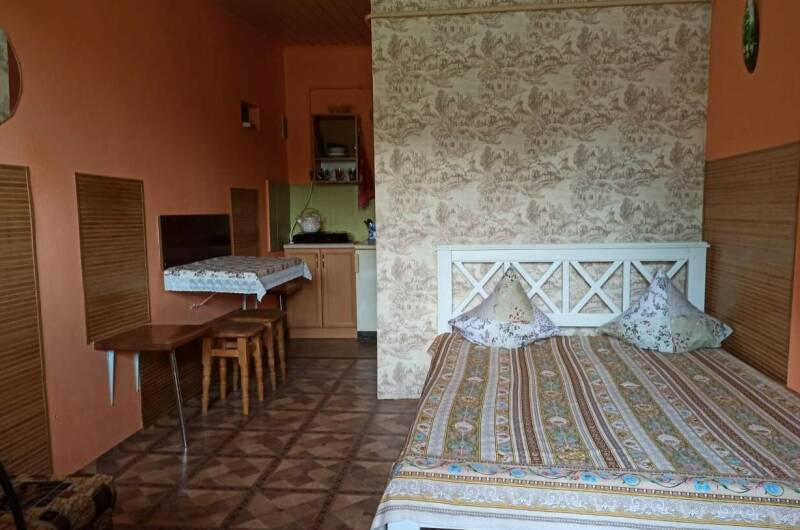 Изображение Изображение квартиры / апартамента "Однокомнатный номер на ул. Красноармейская" #11 #9