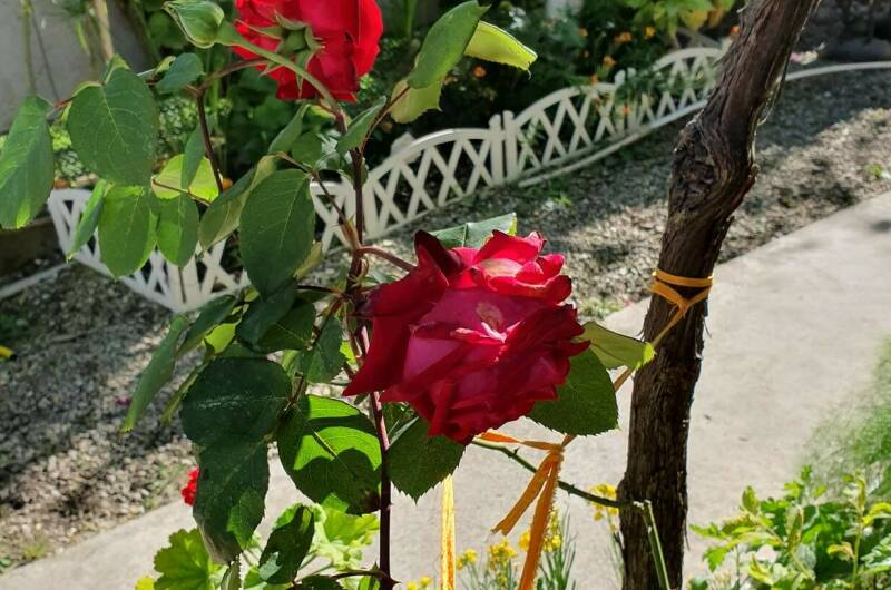 Изображение Изображение гостиницы "Гостевой дом «Мека»" #4 #4