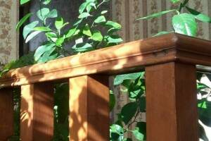 Изображение отеля / гостиницы "Частный дом «Аврора»"