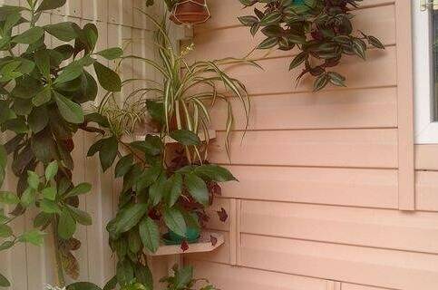 Изображение Изображение гостиницы &quot;Частный дом «Аврора»&quot; #3 #3