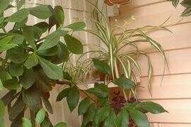 Изображение Изображение гостиницы &quot;Частный дом «Аврора»&quot; #5 #5