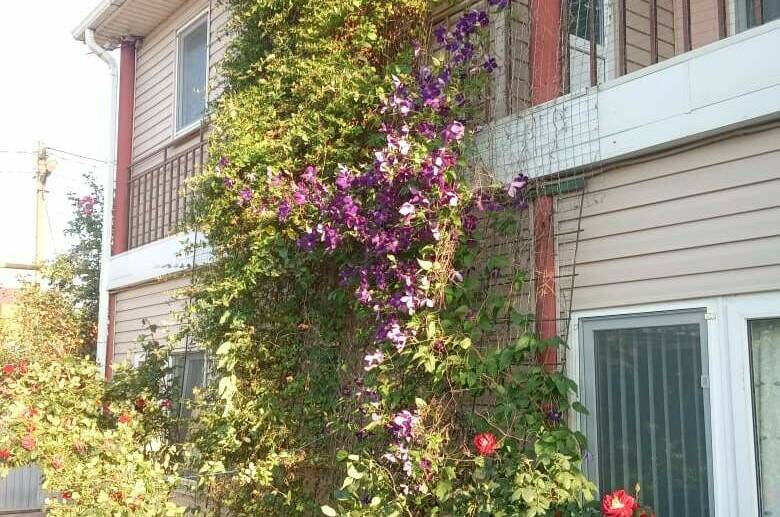 Изображение Изображение гостиницы "Гостевой дом «Любовь»" #8 #8