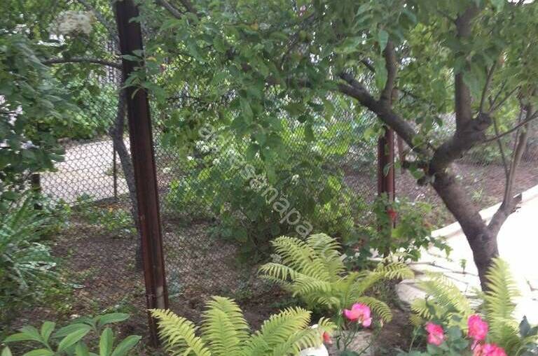 Изображение Изображение гостиницы "Частный дом «Зеленый дворик»" #3 #3