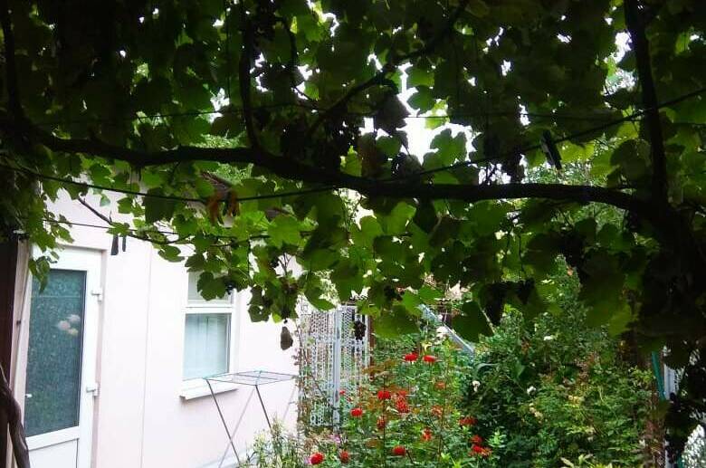 Изображение Изображение отеля / гостиницы "Частный дом «Зеленый дворик»" #11 #9