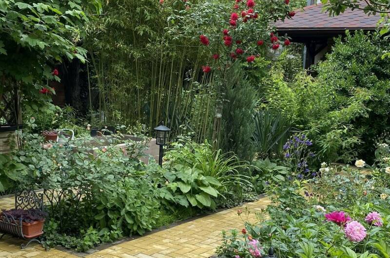 Изображение Изображение гостиницы &quot;Частное домовладение на Партизанской&quot; #3 #3