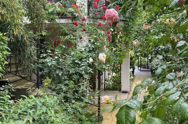 Изображение Изображение гостиницы &quot;Частное домовладение на Партизанской&quot; #4 #4