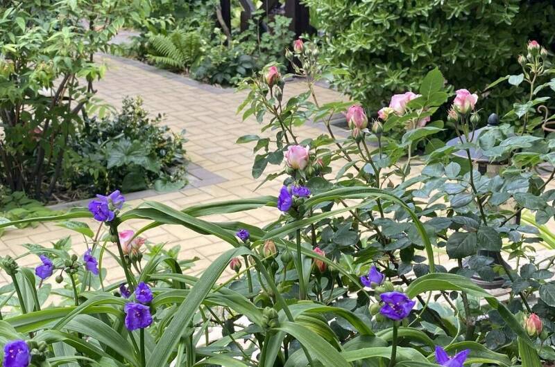 Изображение Изображение гостиницы &quot;Частное домовладение на Партизанской&quot; #5 #5