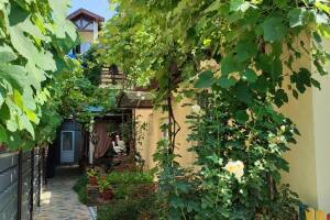 Изображение отеля / гостиницы "Гостевой дом «Золотая Рыбка»"