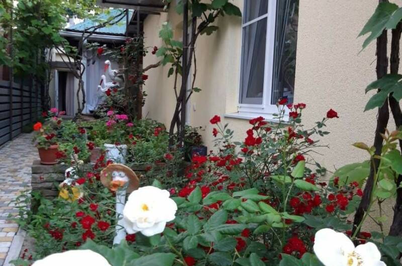 Изображение Изображение гостиницы "Гостевой дом «Золотая Рыбка»" #3 #3