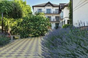 Изображение отеля / гостиницы "Гостевой дом «Лавандовый дворик»"