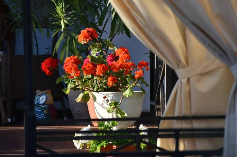 Изображение Изображение гостиницы "Гостевой дом «Лавандовый дворик»" #3 #3