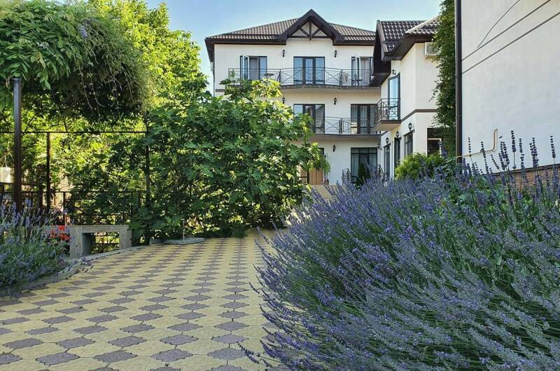 Изображение Изображение гостиницы "Гостевой дом «Лавандовый дворик»" #5 #5