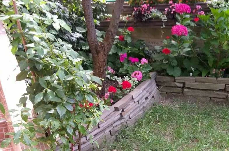 Изображение Изображение гостиницы "Гостевой дом «Бриз Лоо»" #7 #7