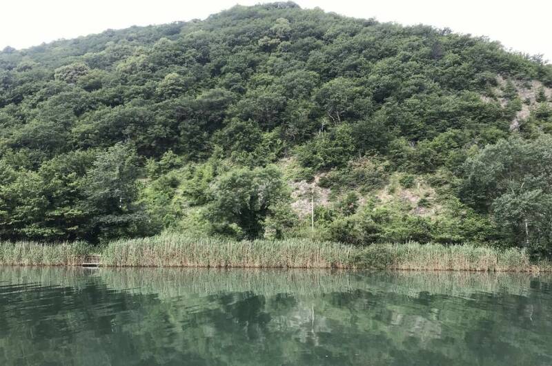 Изображение Изображение гостиницы "Апартаменты «Белая береза»" #4 #4