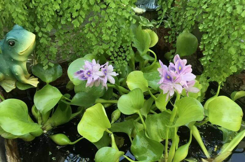 Изображение Изображение гостиницы &quot;Частный дом «Тенистый дворик»&quot; #8 #8