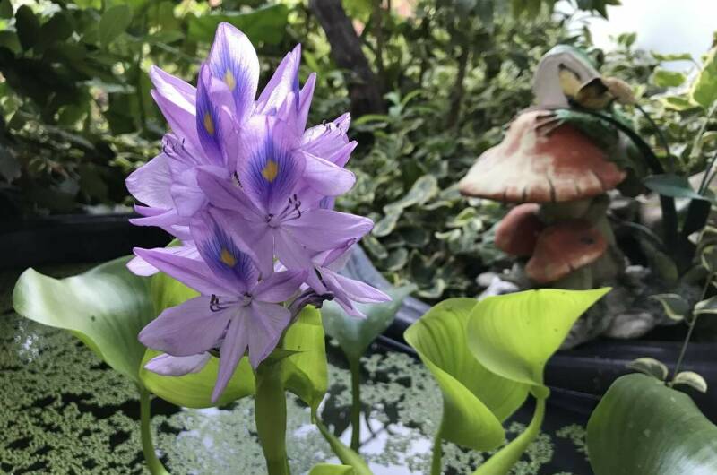 Изображение Изображение отеля / гостиницы "Частный дом «Тенистый дворик»" #10 #8