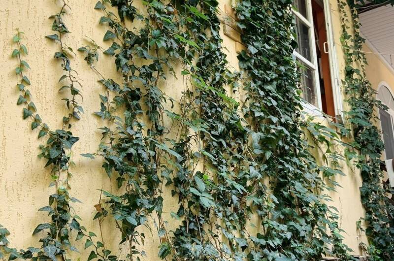 Изображение Изображение гостиницы &quot;Гостевой дом «Сергей &amp; Ирина»&quot; #3 #3