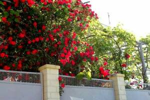 Изображение Гостевой дом «София» #6