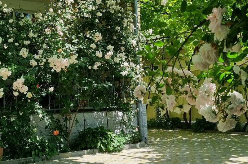 Изображение Изображение гостиницы "Гостевой дом «София»" #4 #4