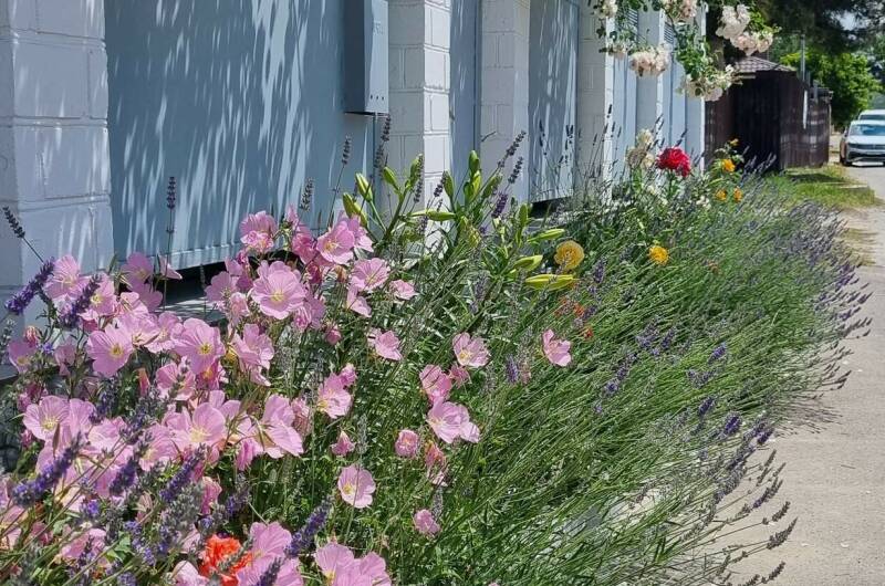 Изображение Изображение гостиницы "Гостевой дом «София»" #6 #6