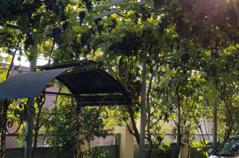 Изображение Изображение гостиницы "Гостевой дом «София»" #8 #8