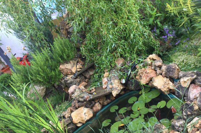 Изображение Изображение отеля / гостиницы "Гостевой дом «Море»" #10 #8