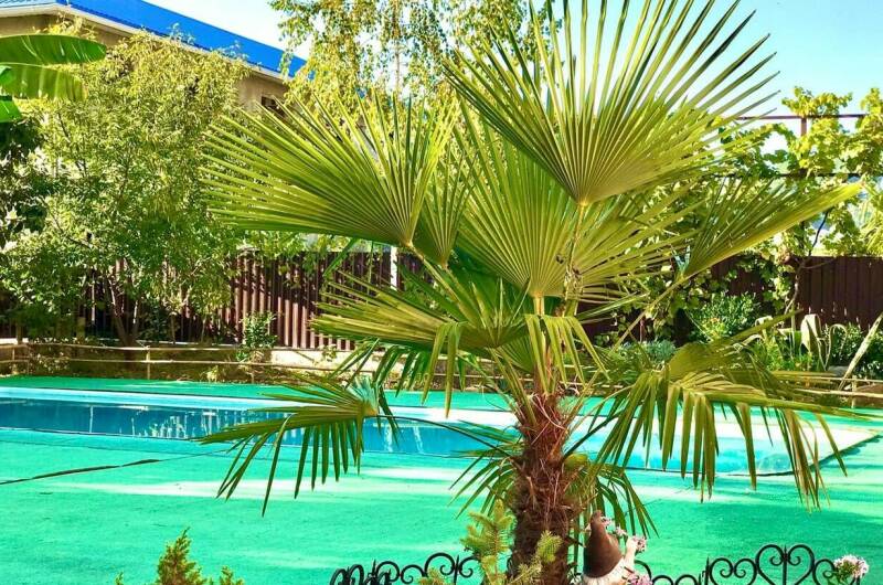 Изображение Изображение гостиницы "Гостевой комплекс «Дом солнца»" #7 #7