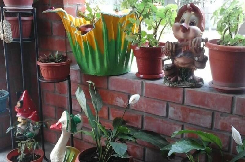 Изображение Изображение гостиницы &quot;Гостевой дом «Круиз»&quot; #6 #6