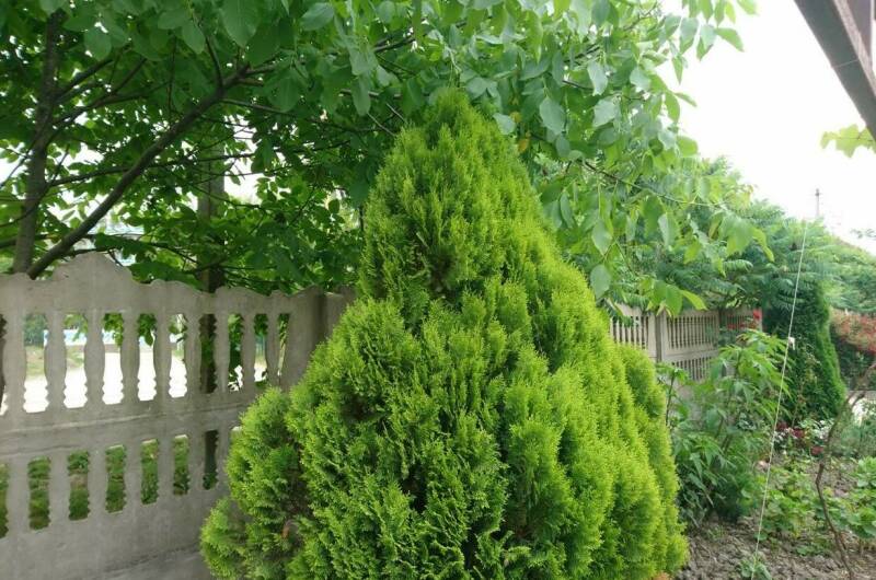 Изображение Изображение гостиницы &quot;Гостевой дом «Круиз»&quot; #7 #7