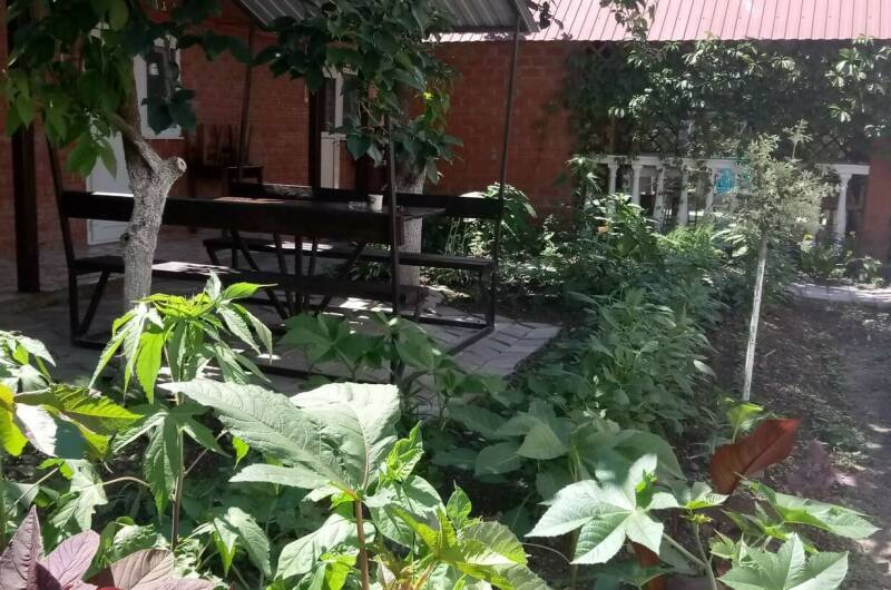 Изображение Изображение гостиницы &quot;Гостевой дом «Круиз»&quot; #8 #8