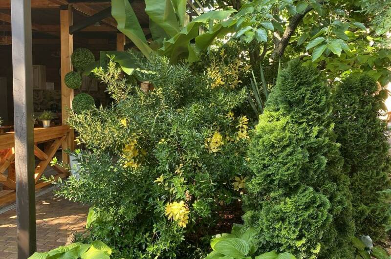 Изображение Изображение гостиницы &quot;Гостевой дом «Глафира»&quot; #3 #3