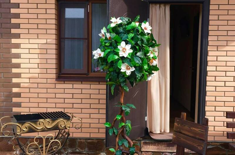 Изображение Изображение гостиницы &quot;Гостевой дом «Глафира»&quot; #7 #7