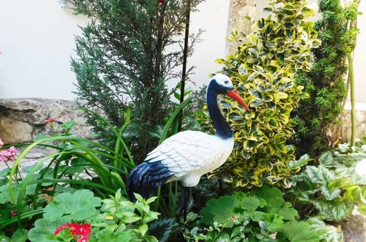 Изображение Изображение гостиницы &quot;Мини-гостиница «Галина»&quot; #3 #3