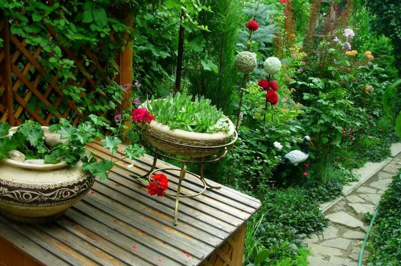 Изображение Изображение отеля / гостиницы "Мини-гостиница «Галина»" #10 #8