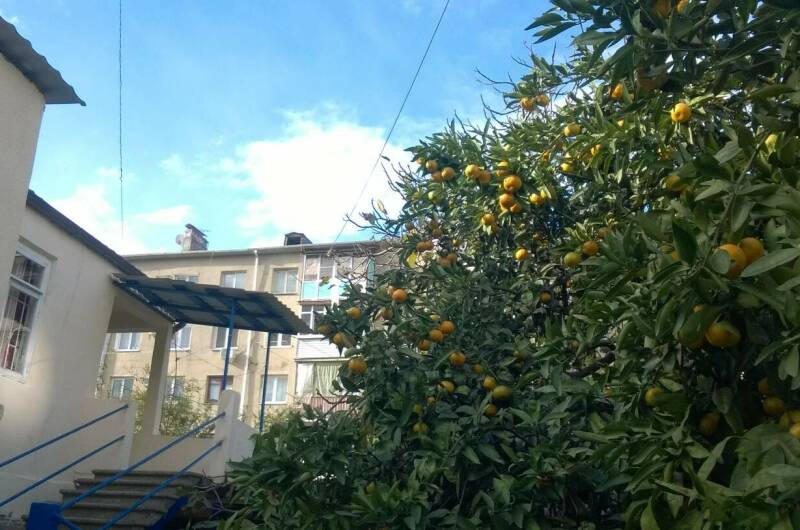 Изображение Изображение гостиницы "Гостевой дом «у Саркиса»" #3 #3