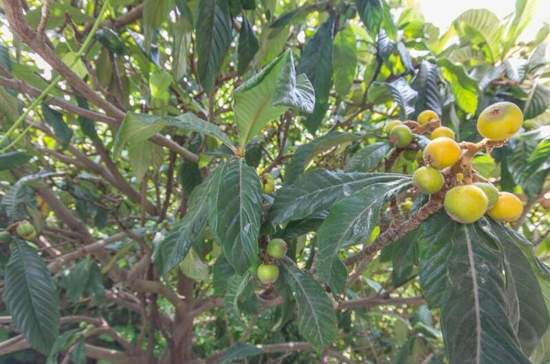 Изображение Изображение гостиницы "Гостевой дом «у Саркиса»" #6 #6