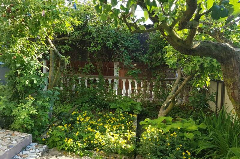 Изображение Изображение гостиницы &quot;Гостевой дом «Амина»&quot; #2 #2