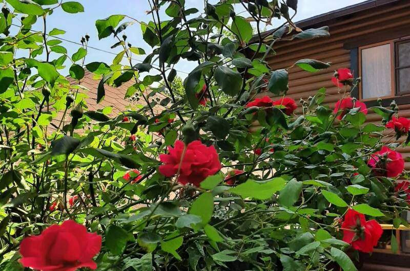 Изображение Изображение гостиницы &quot;Частный дом «У Натальи»&quot; #7 #7