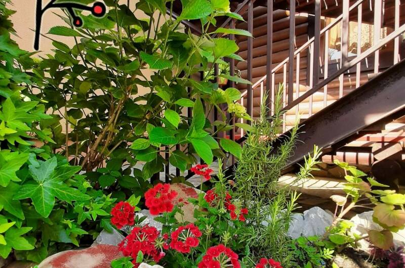 Изображение Изображение гостиницы &quot;Частный дом «У Натальи»&quot; #8 #8