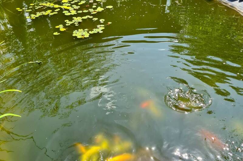 Изображение Изображение гостиницы "Гостевой дом «Тихий уголок»" #2 #2