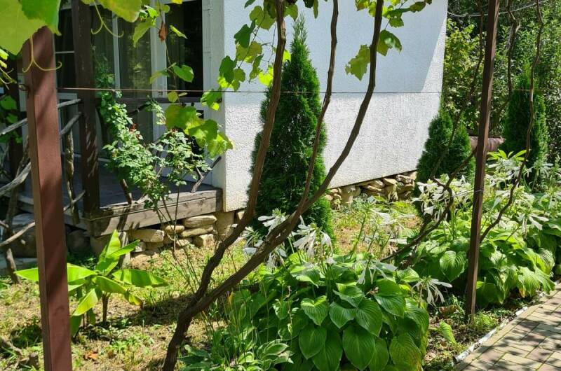 Изображение Изображение гостиницы "Гостевой дом «Тихий уголок»" #7 #7